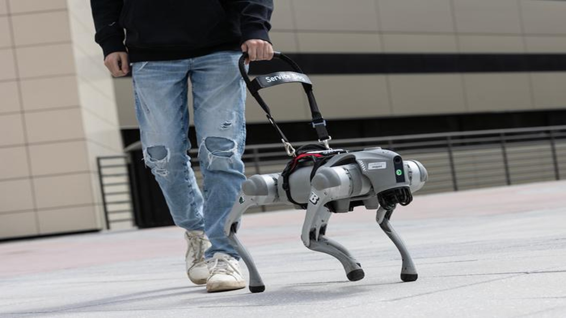 AI robotic guide dog talks users through real