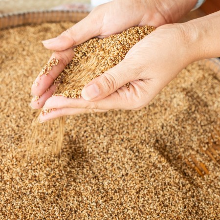 Sesame seeds: tender concluded