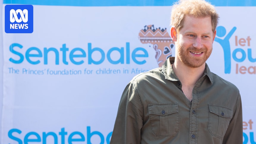 UK charity Sentebale sues Prince Harry for defamation