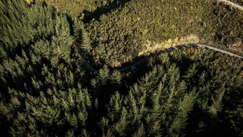 Hunter shot dead in the Ruahine Range near Dannevirke