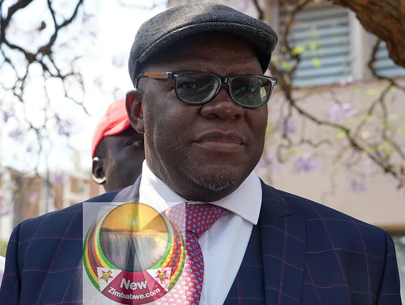 Biti says Zimbabweans ready to die defending Constitution, slams Zanu PF's one-party agenda