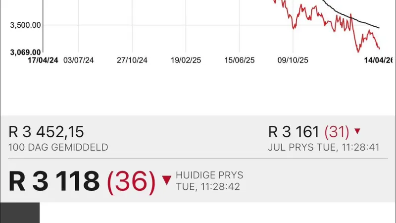 Tough environment for South African maize farmers