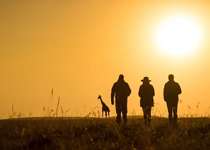 African Safaris Are Emerging as the Ultimate Romantic Escape