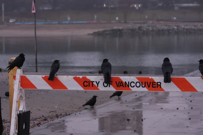 Seahawks stuck with Trent Williams problem 49ers won’t fix