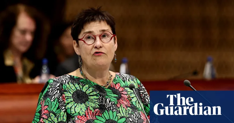 Israel’s death penalty law could spell suspension from rights body role, says chief