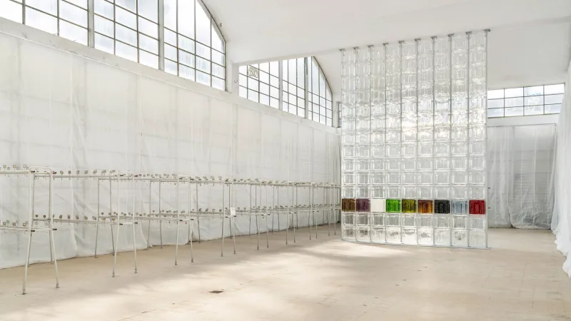 6AM glass furniture reignites abandoned Milanese pool house