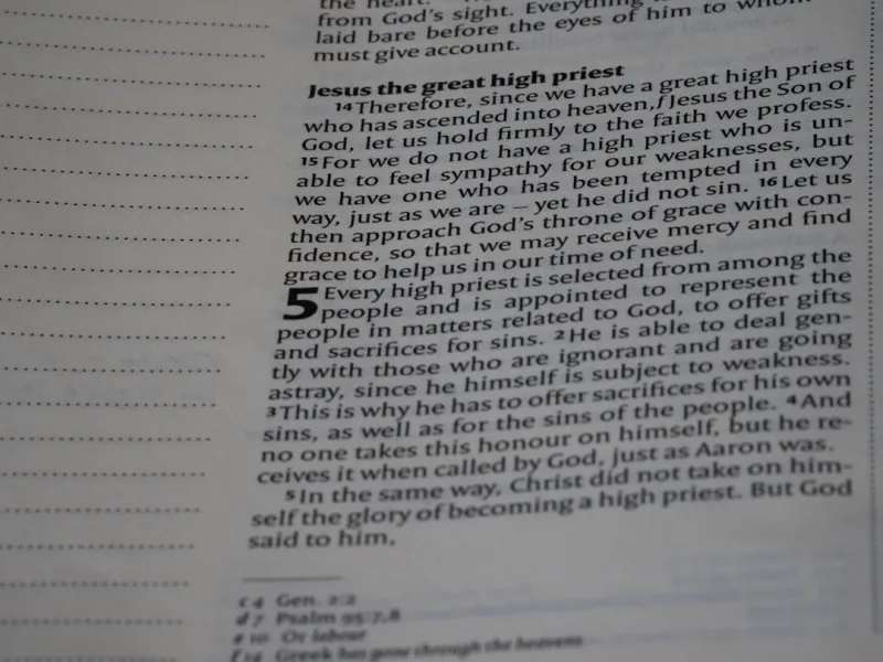 DDN Redefines AI and High-Performing Computing at Scale with Google Cloud Managed Lustre Innovations