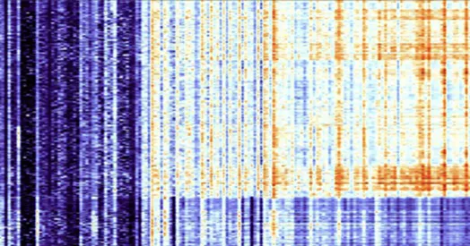 Switching neural code may solve ongoing face-recognition debate