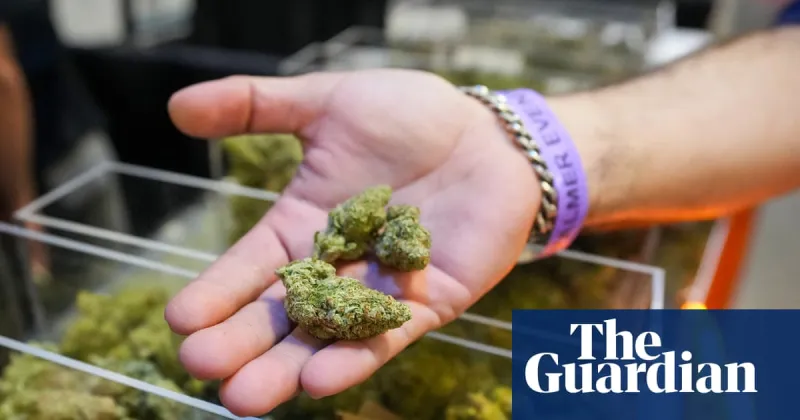 Trump administration moves to ease federal restrictions on marijuana