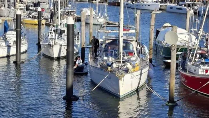 Wanted woman arrested after allegedly jumping into Whangārei river to flee police