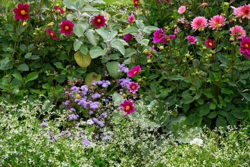 Mounties, border officers and cyber spies shut out of early retirement incentive