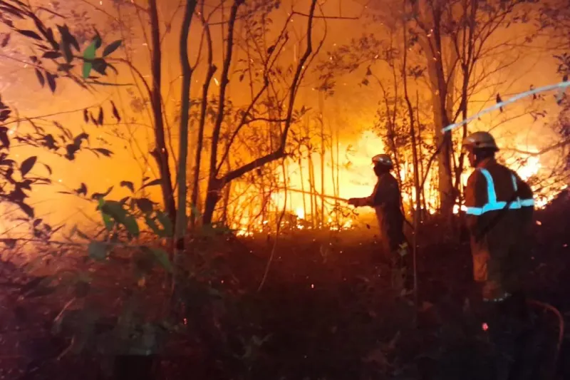 Indonesia forest fires: Budget cuts and drought fears