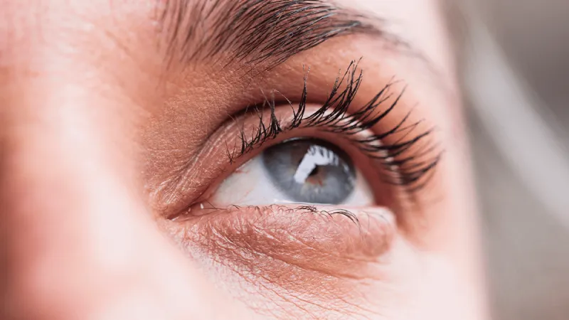 All blue-eyed people can trace their ancestry back to a single individual