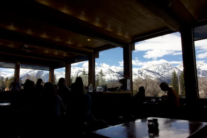 From National Pizza Day to National Puppy Day: Why so many national days have filled the calendar