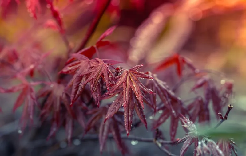 How Jose Mourinho’s Real Madrid Record Compares to Other Managerial Greats