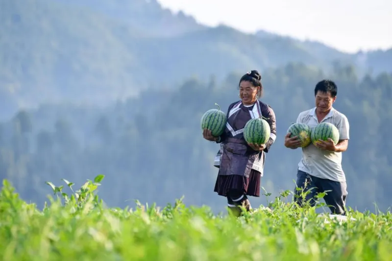 China's governance model offers lessons for the world