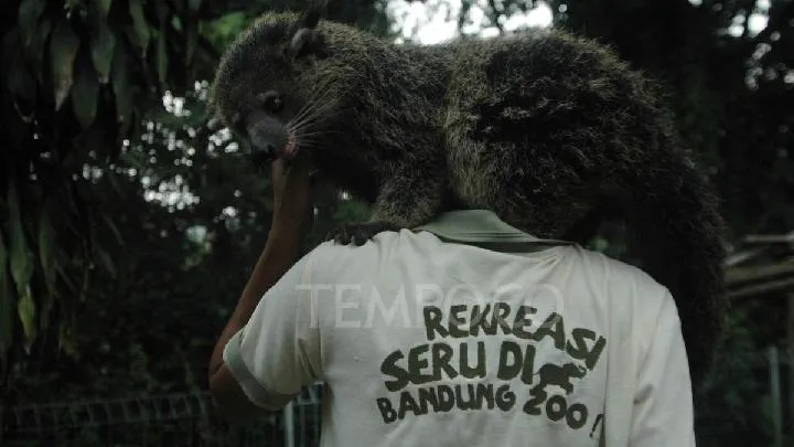 Taman Safari Expresses Interest in Managing Bandung Zoo