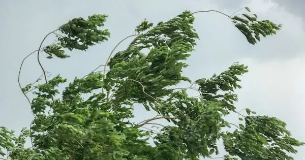 Weather warnings expand as 'rapidly deepening' low approaches NZ