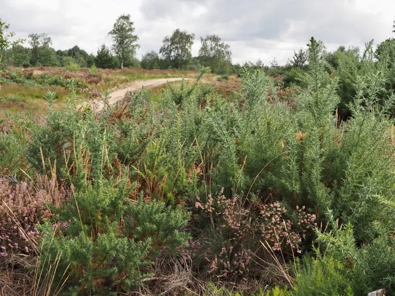 Burren biodiversity project rolled out across 15 counties