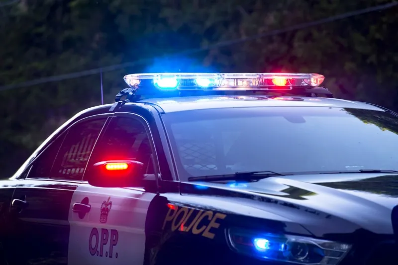 Ontario road deaths tied to risky behaviours, OPP says