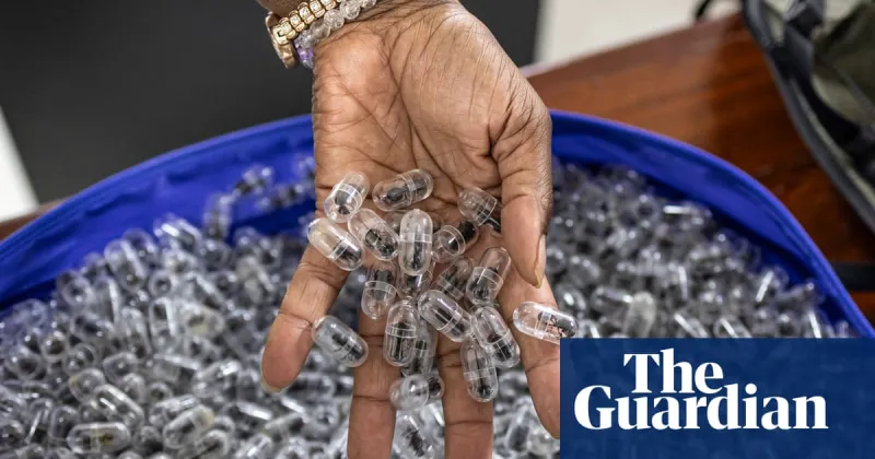 Smuggled in syringes: how Nairobi became a nexus for the black market in giant harvester ants