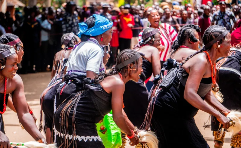 Omagongo Festival: Marula wine and culture to flow at Chief Iipumbu’s homestead